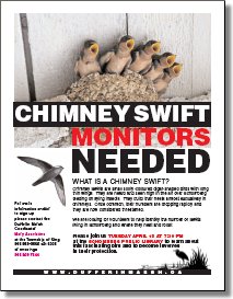 Chimney Swift Monitoring Training Starting Soon - Click for more information